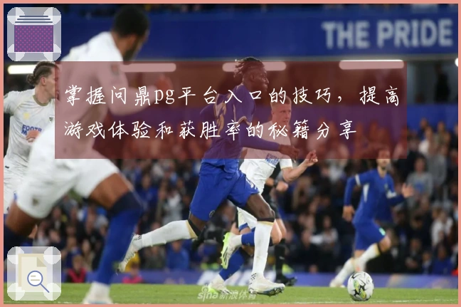 掌握问鼎pg平台入口的技巧，提高游戏体验和获胜率的秘籍分享