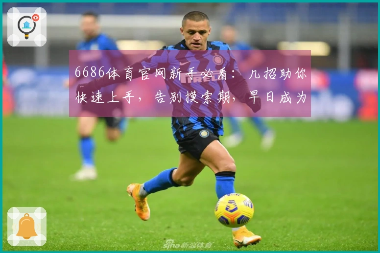6686体育官网新手必看：几招助你快速上手，告别摸索期，早日成为老司机